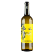Cantine Barbera 'Tivitti' Inzolia Menfi, Sicily 2024