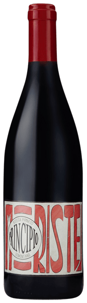 Pirineos 'Principio' Moristel, Somontano 2024