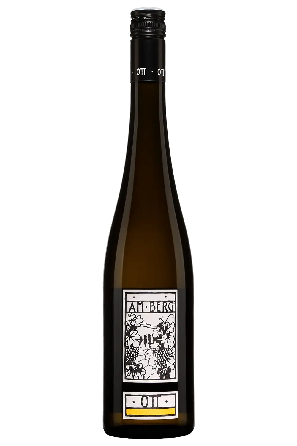 Bernhard Ott 'Am Berg' Gruner Veltliner 2023