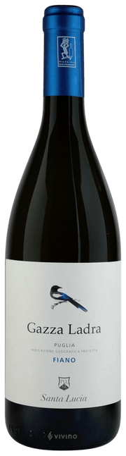 Santa Lucia 'Gazza Ladra' Fiano, Puglia 2024