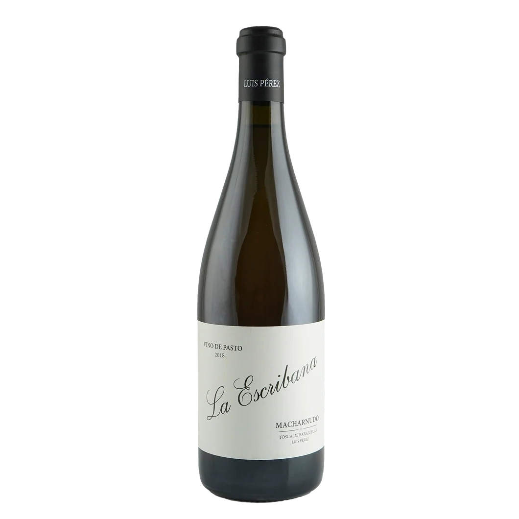 Luis Perez 'La Escribana' Palomino, Jerez 2024
