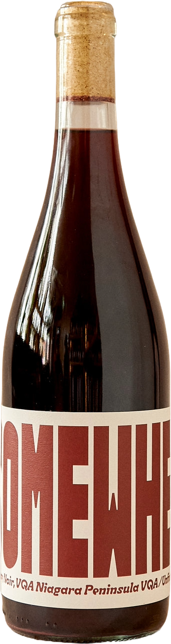 Somewhere Wines Gamay 2025