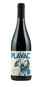 The Dalmation Dog Plavac Mali, Dalmatia 2020
