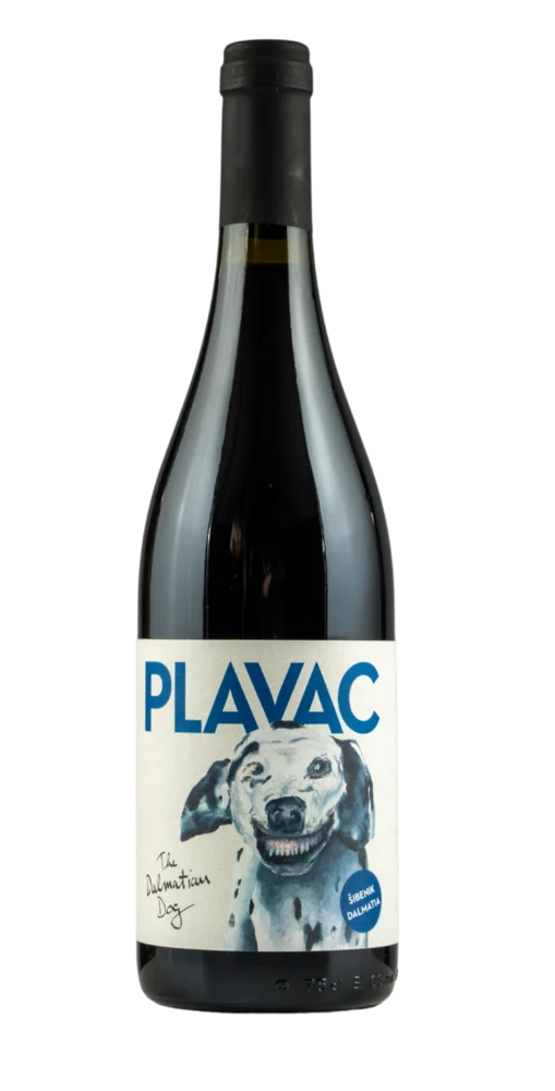 The Dalmation Dog Plavac Mali, Dalmatia 2020